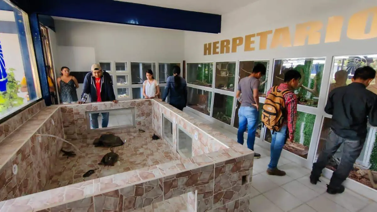 HERPETARIO ITH 4